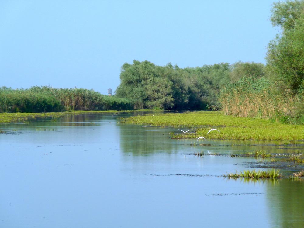 intrare canal plimbare delta dunarii